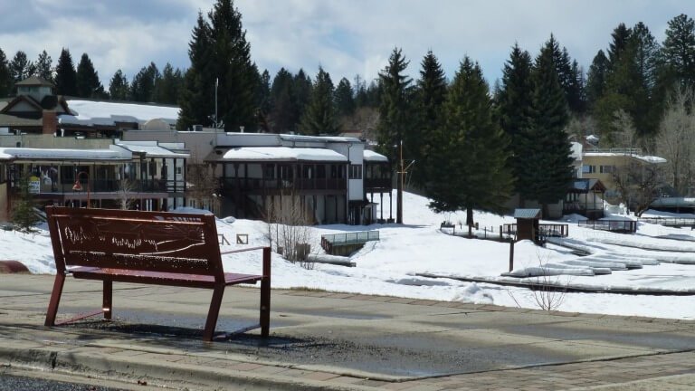 Live To Death Or Live To Life?