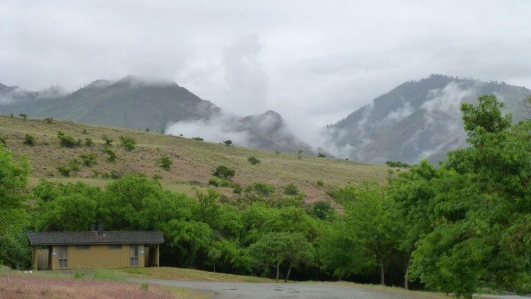 Thank You For Sharing The Gospel