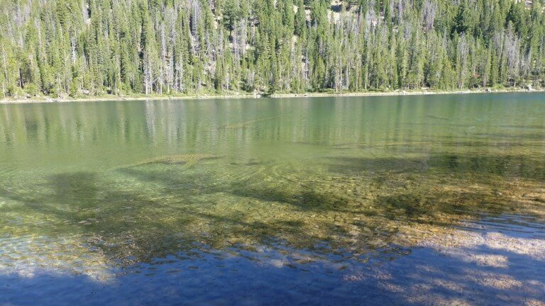 Pray And Think More Often Of Others