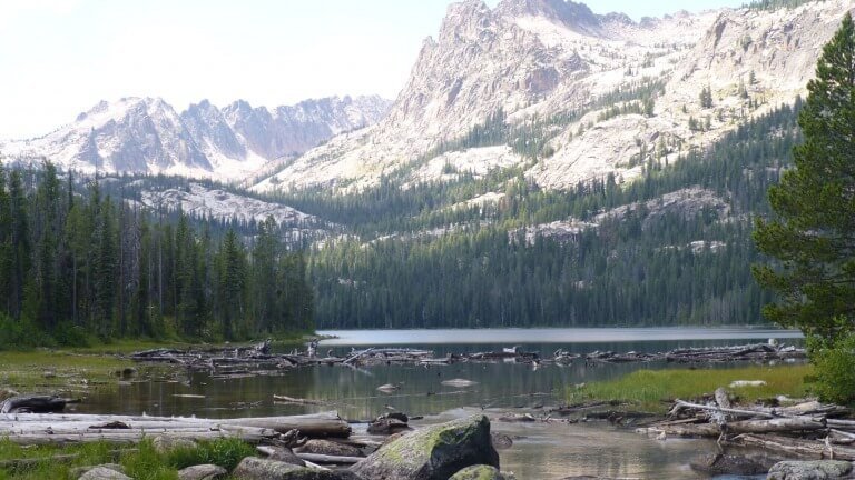 Seek The Lord's Presence