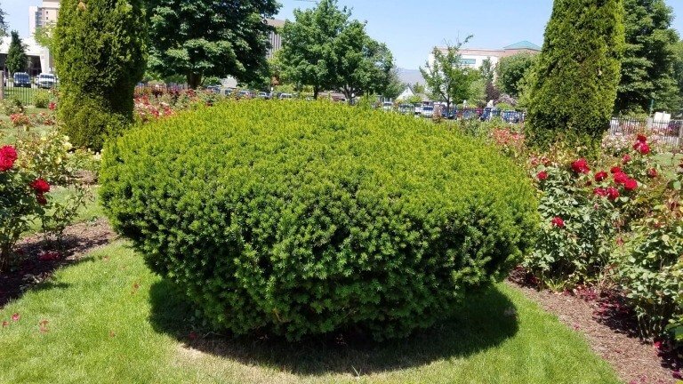 Marriage, Where Is The Romance?