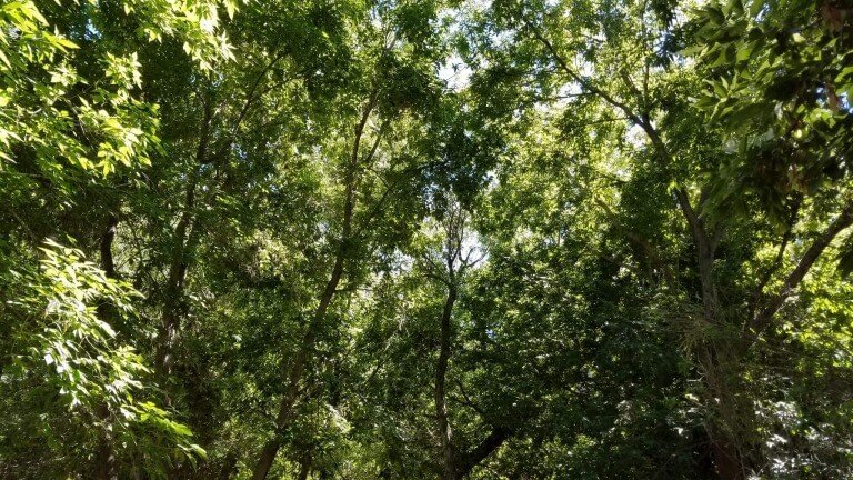 Consider Your Life Before God