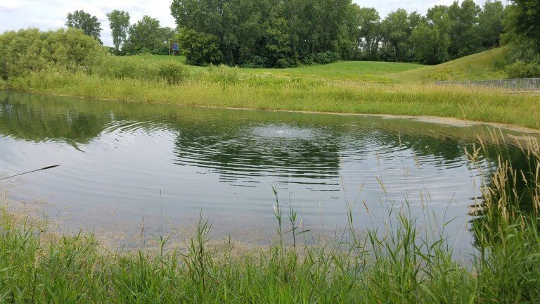 We Are To Love Our Enemies