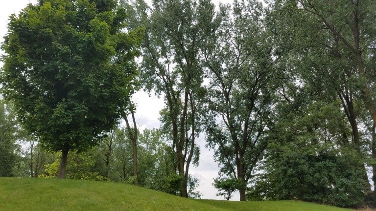 Quit Drinking And Be Sober Minded