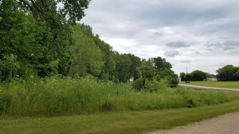 The Wicked And The Righteous