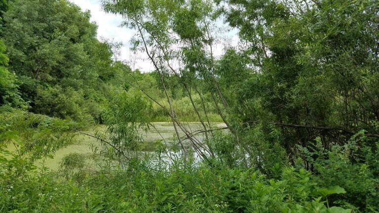 When Do You Come To God?