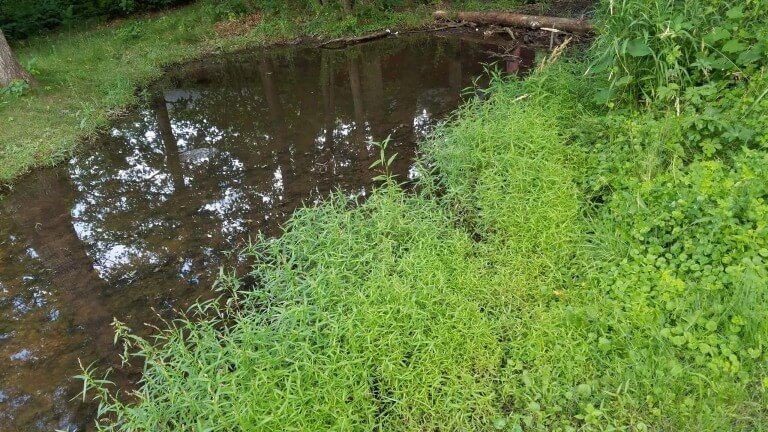 God Helps Us Through Our Struggles