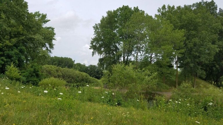 My Heart Cries Out To The Lord