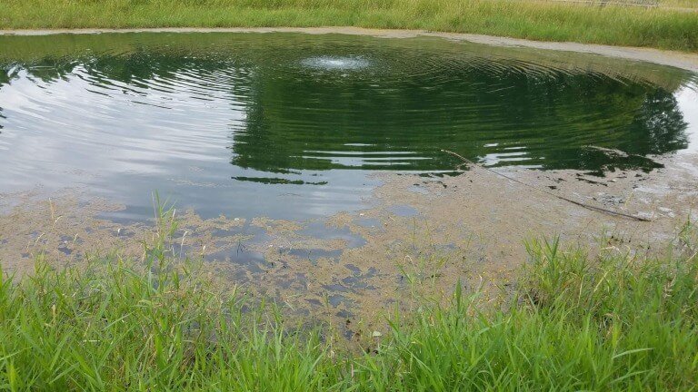 Devout Or Lukewarm Christian