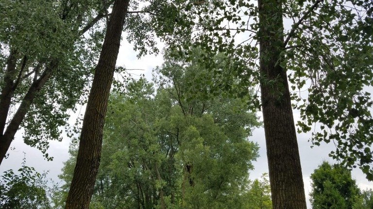 God's People Are Guided By His Words