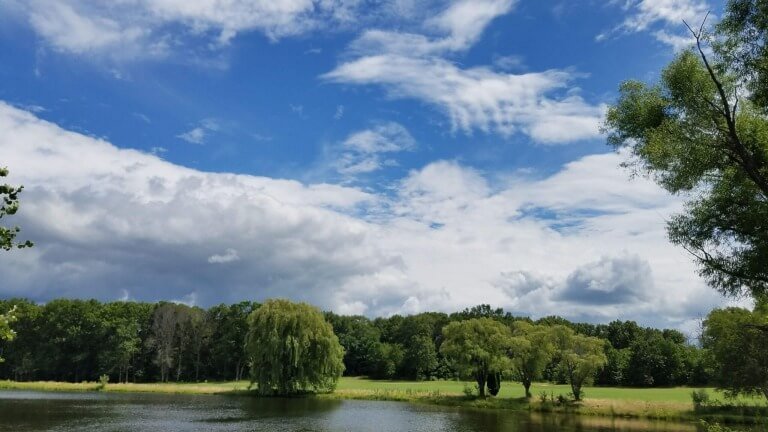 Unto Us A Child Is Born