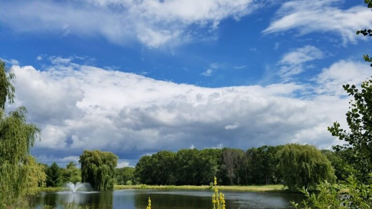 The Prophesy And Fulfillment Of Jesus's Birth