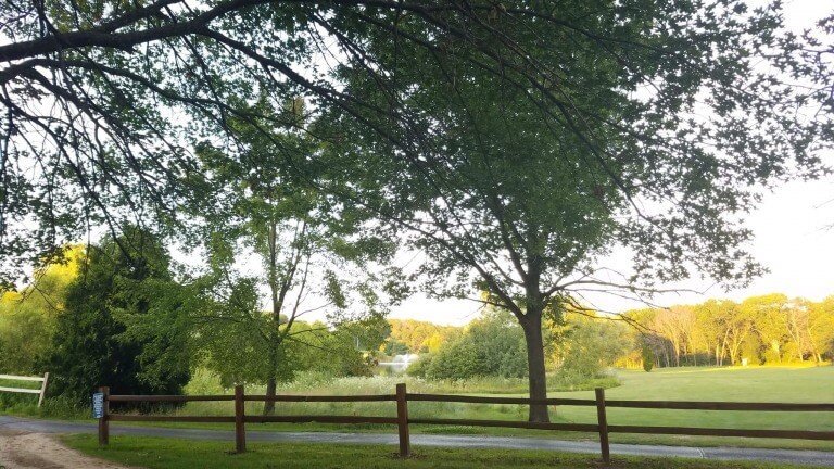 Prayer For Mine Enemies