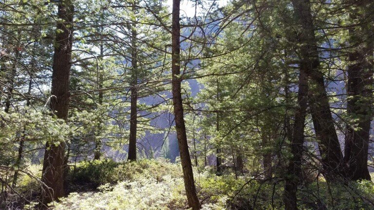 Do Not Render Evil For Good