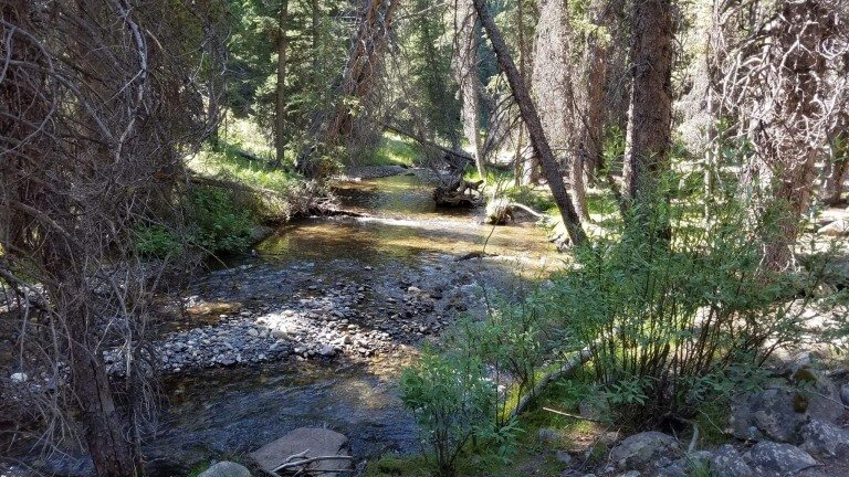 Fret Not And Live For Christ