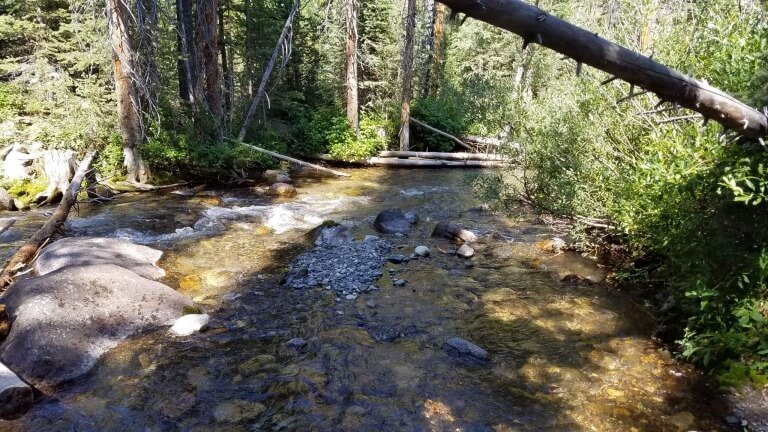 Acknowledge And Confess Your Sins