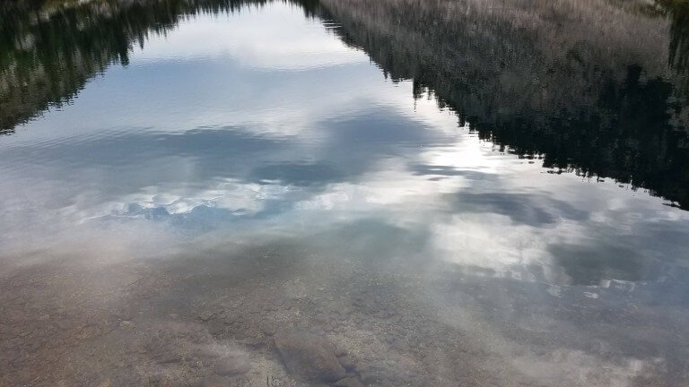 The Foolish And The Wise