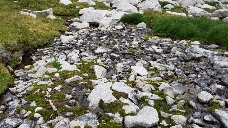 Break Free From Addictions