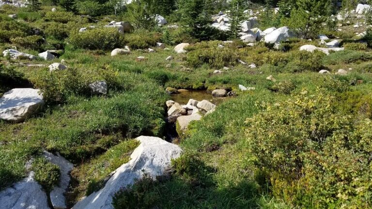 Repent And Come To Christ