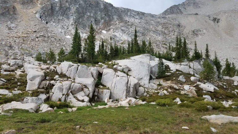 Seek The Wisdom Of God