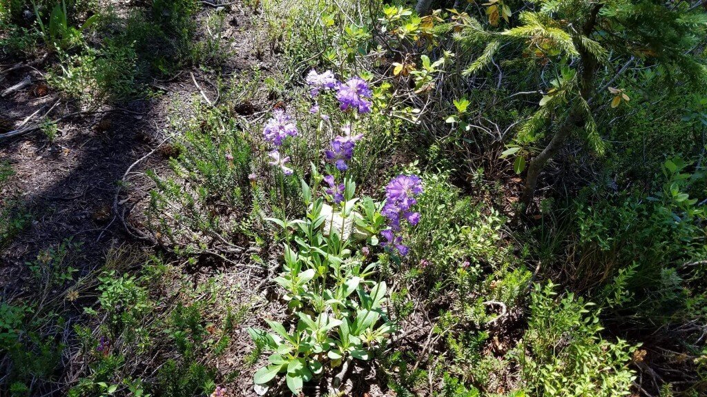 God Takes Away From The Wicked And Gives To The Righteous