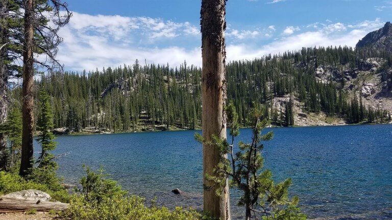 David's Song Unto The Lord