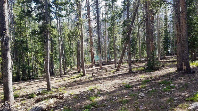 Don't Just Appear Righteous, But Live For God Also