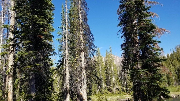 What Will You Give Up To Follow Jesus?