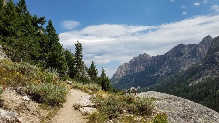 Give Thanks Unto The Lord