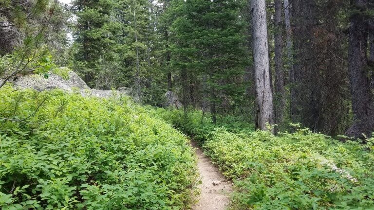Which Pathway Are You On?