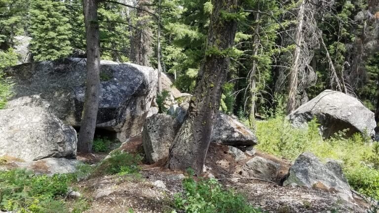 The Reason Why I Witness