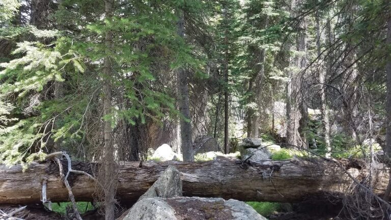 To Say, Love Me How I am