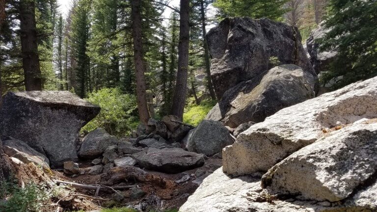 The Prophesy Of The Messiah