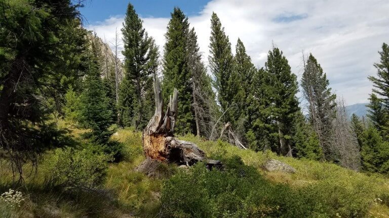 A Life For God Outside Of Church