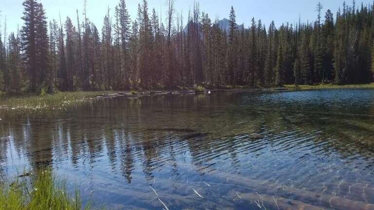 Jacob's Faith And Reunion With Joseph