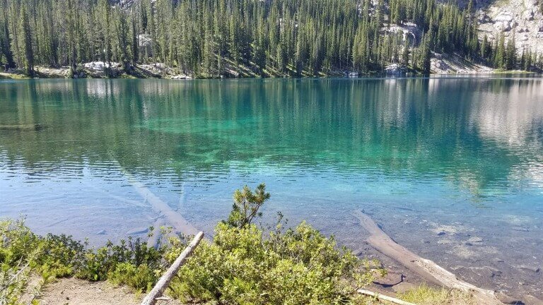 Praise God For His Mercy