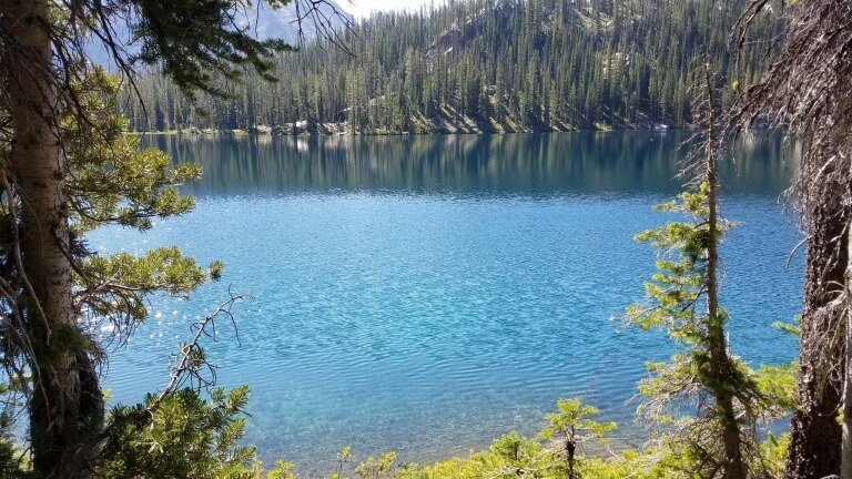 John Prepared The Way For The Lord