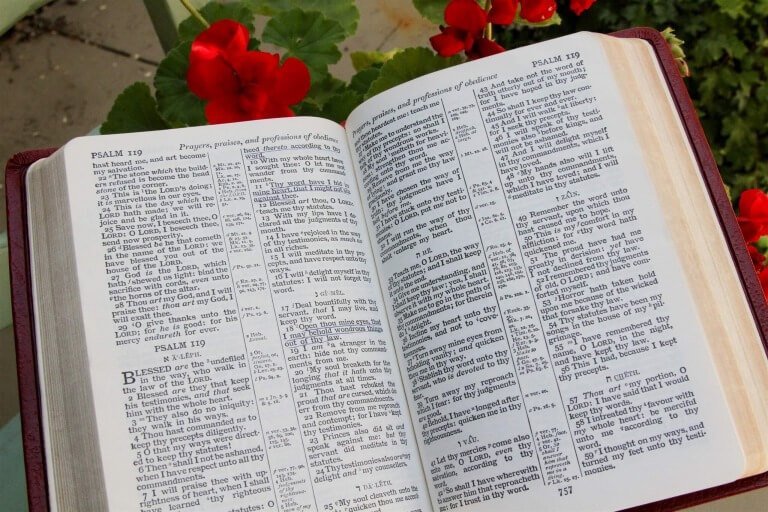 I Love The Bible