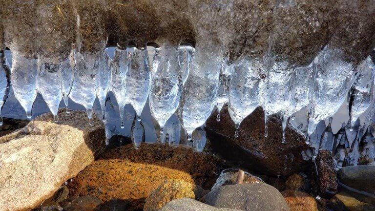 The Four Lepers Of Samaria