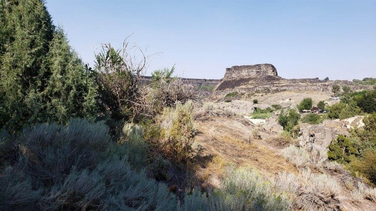 The Parable Of The Fig Tree