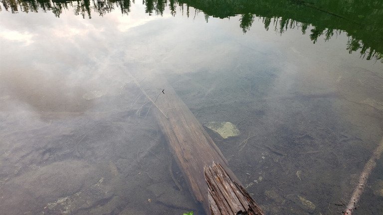 Jude Quotes Enoch, Speaking Of The Last Days