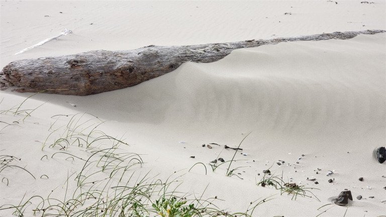 Interpretations Belong To God