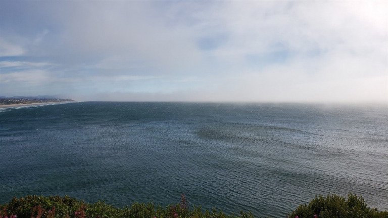 Multiply And Replenish The Earth