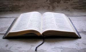 All Posts (Bible)