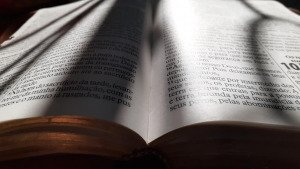 Book Of Mormon Contradiction: Alma 11:26-29