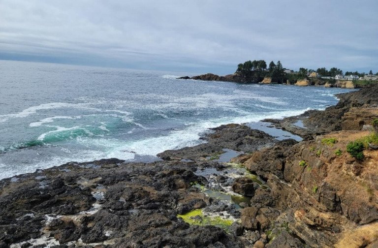 The Worker Of Iniquity