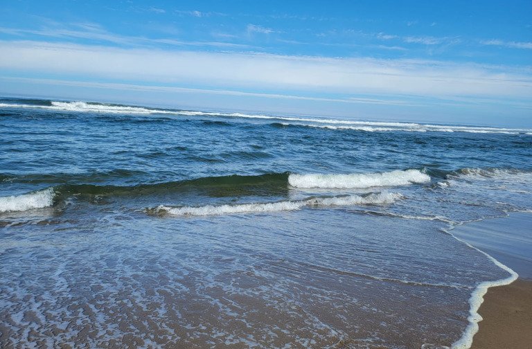 Give Your Praises To God