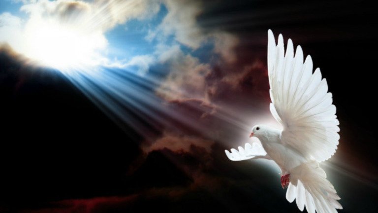 Abide Under The Shadow Of The Almighty