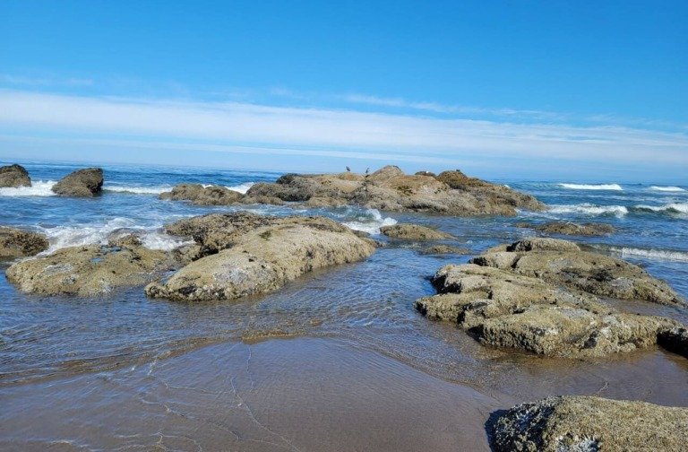 Serve God And Enter Through His Gate